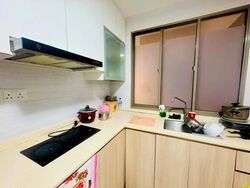 Parc Vista (D22), Condominium #491879461